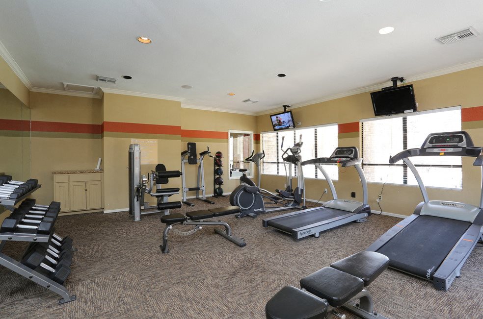 A spacious gym with treadmills, weight machines, and a television.
